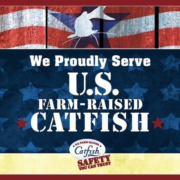 Promotional graphic for U.S. Farm-Raised Catfish, featuring American flag motifs and text.