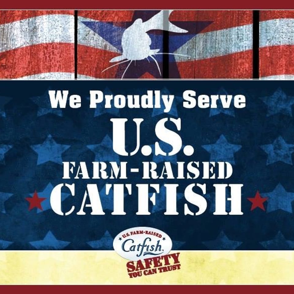 Promotional graphic for U.S. Farm-Raised Catfish, featuring American flag motifs and text.